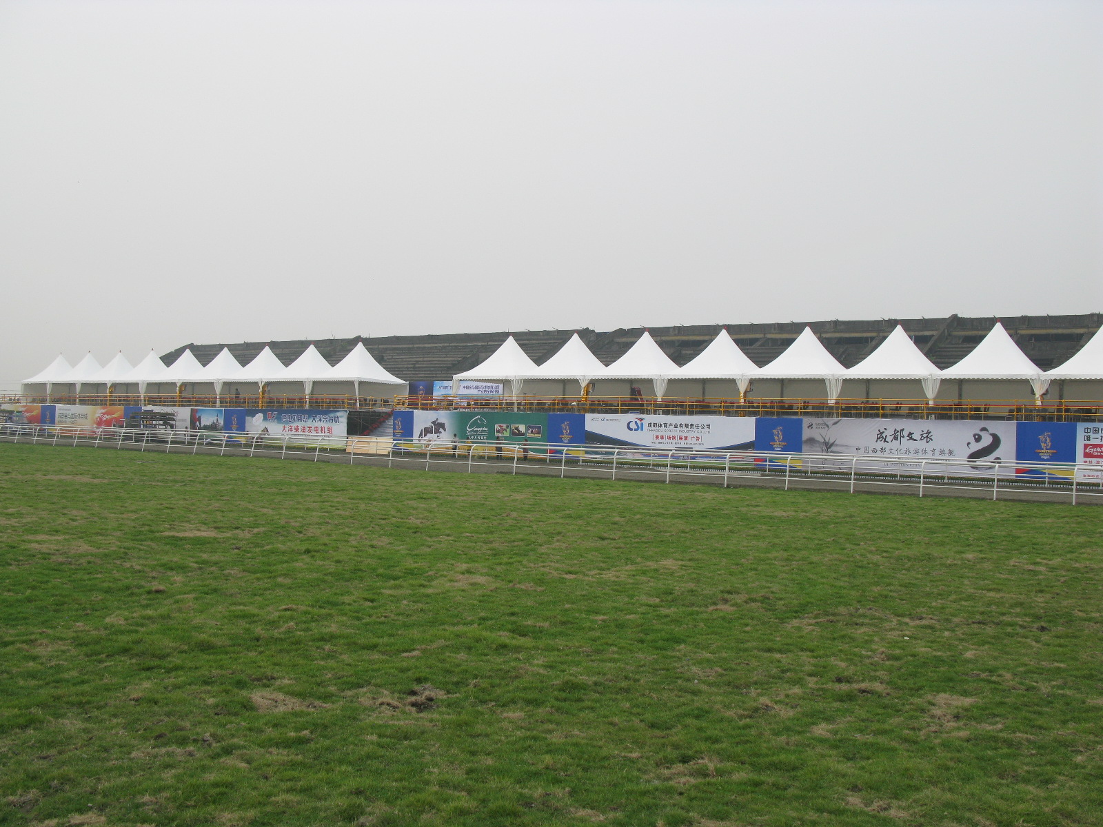 2010年首届金马马术体育文化旅游节 成都 (2).JPG